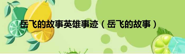 岳飞的故事英雄事迹（岳飞的故事）