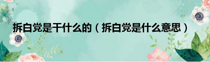 拆白党是干什么的（拆白党是什么意思）