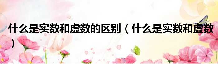 什么是实数和虚数的区别（什么是实数和虚数）