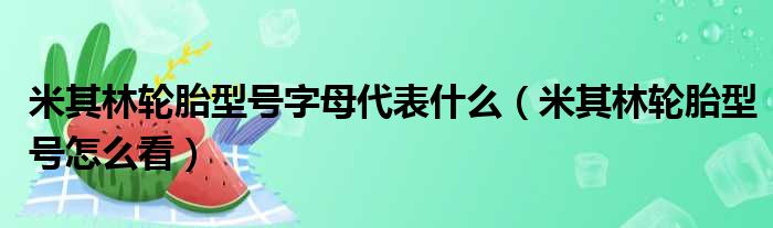 米其林轮胎型号字母代表什么（米其林轮胎型号怎么看）