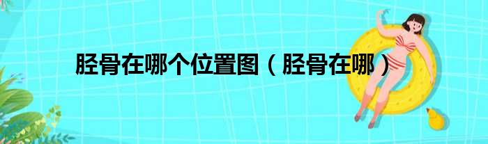 胫骨在哪个位置图（胫骨在哪）