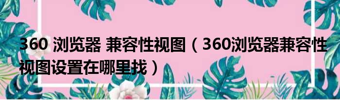 360 浏览器 兼容性视图（360浏览器兼容性视图设置在哪里找）