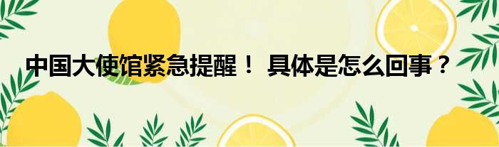 中国大使馆紧急提醒！ 具体是怎么回事？