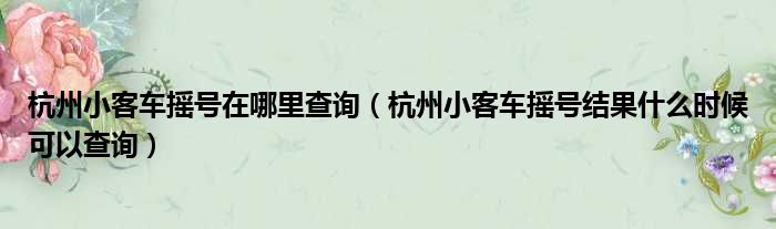 杭州小客车摇号在哪里查询（杭州小客车摇号结果什么时候可以查询）