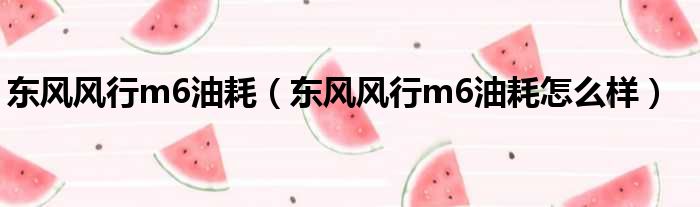 东风风行m6油耗（东风风行m6油耗怎么样）