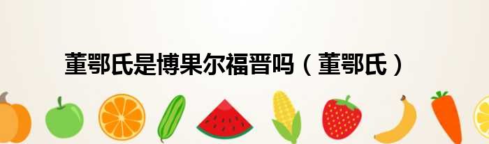 董鄂氏是博果尔福晋吗（董鄂氏）