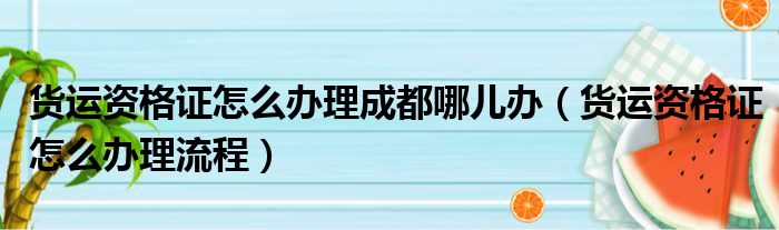 货运资格证怎么办理成都哪儿办（货运资格证怎么办理流程）
