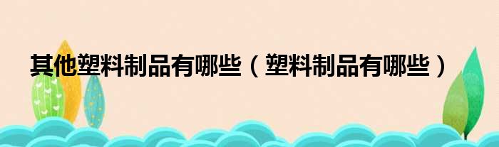 其他塑料制品有哪些（塑料制品有哪些）