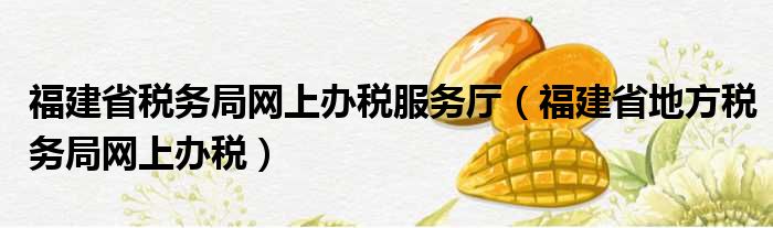 福建省税务局网上办税服务厅（福建省地方税务局网上办税）