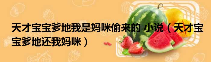 天才宝宝爹地我是妈咪偷来的 小说（天才宝宝爹地还我妈咪）