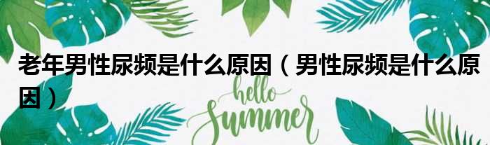 老年男性尿频是什么原因（男性尿频是什么原因）