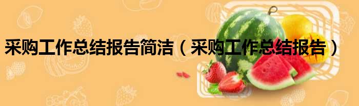 采购工作总结报告简洁（采购工作总结报告）