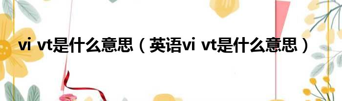 vi vt是什么意思（英语vi vt是什么意思）