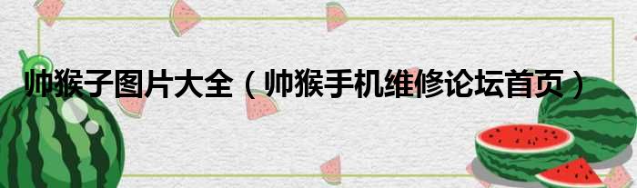 帅猴子图片大全（帅猴手机维修论坛首页）