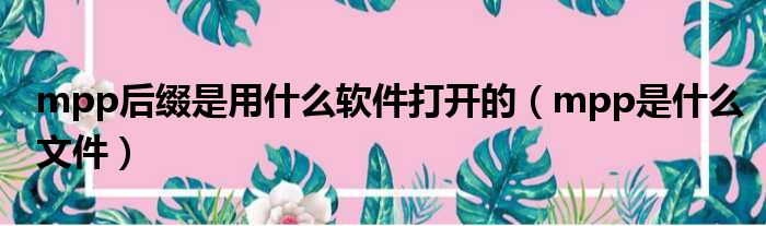 mpp后缀是用什么软件打开的（mpp是什么文件）