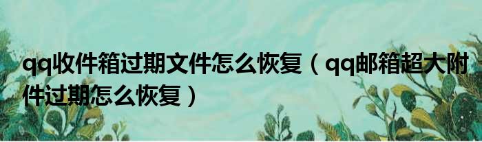 qq收件箱过期文件怎么恢复（qq邮箱超大附件过期怎么恢复）