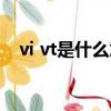vi vt是什么意思（英语vi vt是什么意思）