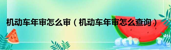 机动车年审怎么审（机动车年审怎么查询）