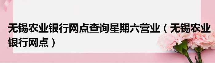 无锡农业银行网点查询星期六营业（无锡农业银行网点）