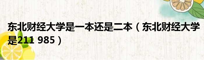 东北财经大学是一本还是二本（东北财经大学是211 985）
