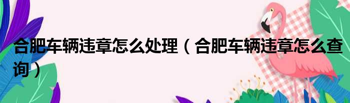 合肥车辆违章怎么处理（合肥车辆违章怎么查询）