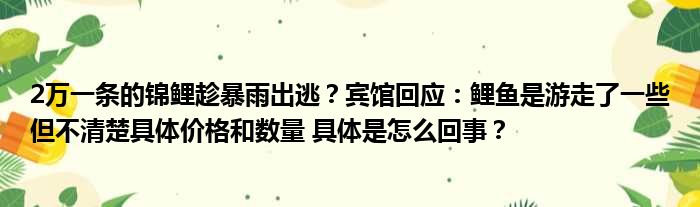 2万一条的锦鲤趁暴雨出逃？宾馆回应：鲤鱼是游走了一些但不清楚具体价格和数量 具体是怎么回事？