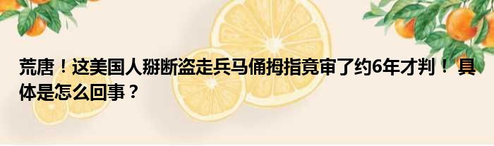 荒唐！这美国人掰断盗走兵马俑拇指竟审了约6年才判！ 具体是怎么回事？
