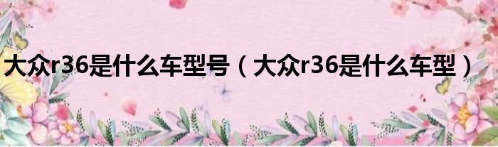 大众r36是什么车型号（大众r36是什么车型）