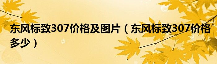 东风标致307价格及图片（东风标致307价格多少）