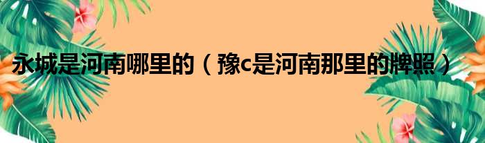 永城是河南哪里的（豫c是河南那里的牌照）