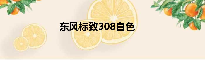 东风标致308白色