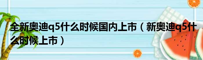 全新奥迪q5什么时候国内上市（新奥迪q5什么时候上市）