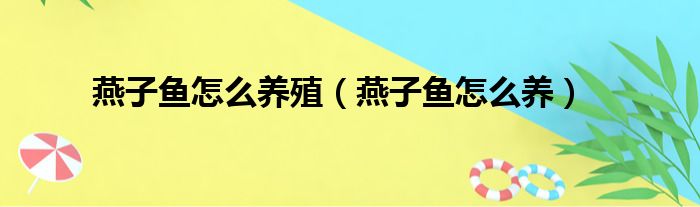 燕子鱼怎么养殖（燕子鱼怎么养）