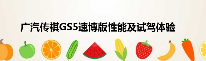 广汽传祺GS5速博版性能及试驾体验