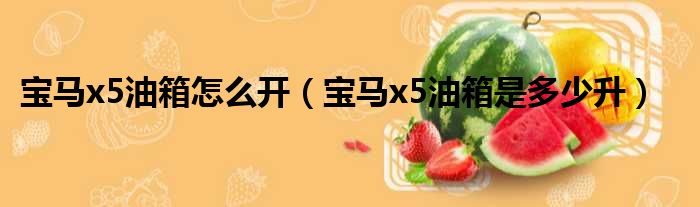 宝马x5油箱怎么开（宝马x5油箱是多少升）