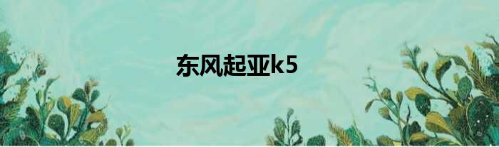 东风起亚k5