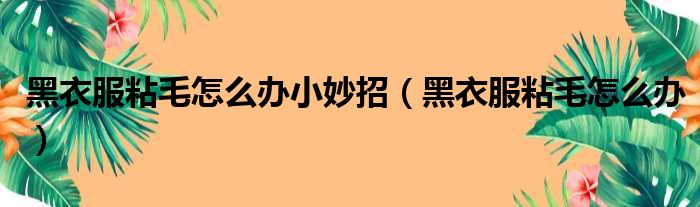 黑衣服粘毛怎么办小妙招（黑衣服粘毛怎么办）