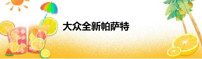 大众全新帕萨特