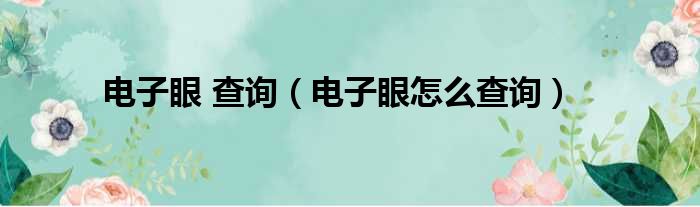 电子眼 查询（电子眼怎么查询）