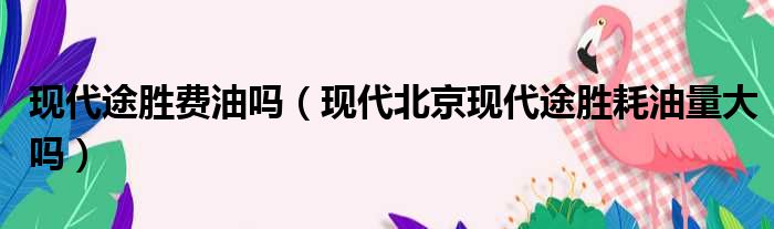 现代途胜费油吗（现代北京现代途胜耗油量大吗）