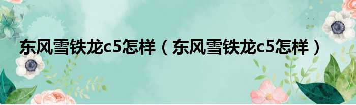 东风雪铁龙c5怎样（东风雪铁龙c5怎样）