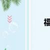 福特嘉年华最新报价