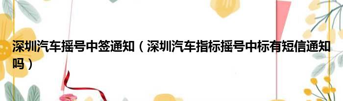深圳汽车摇号中签通知（深圳汽车指标摇号中标有短信通知吗）