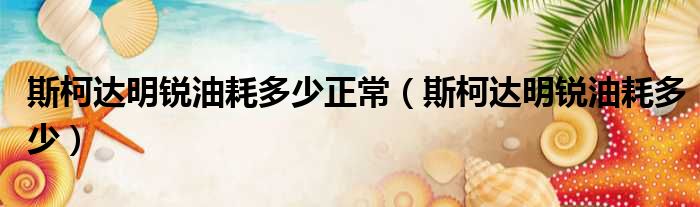 斯柯达明锐油耗多少正常（斯柯达明锐油耗多少）
