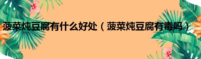 菠菜炖豆腐有什么好处（菠菜炖豆腐有毒吗）