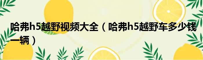 哈弗h5越野视频大全（哈弗h5越野车多少钱一辆）