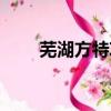芜湖方特攻略详细（芜湖方特攻略）