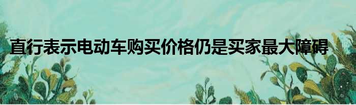 直行表示电动车购买价格仍是买家最大障碍