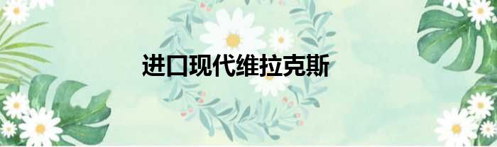 进口现代维拉克斯