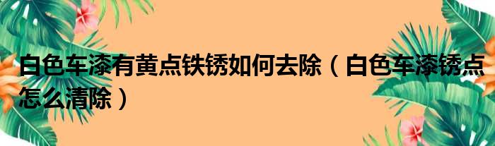 白色车漆有黄点铁锈如何去除（白色车漆锈点怎么清除）
